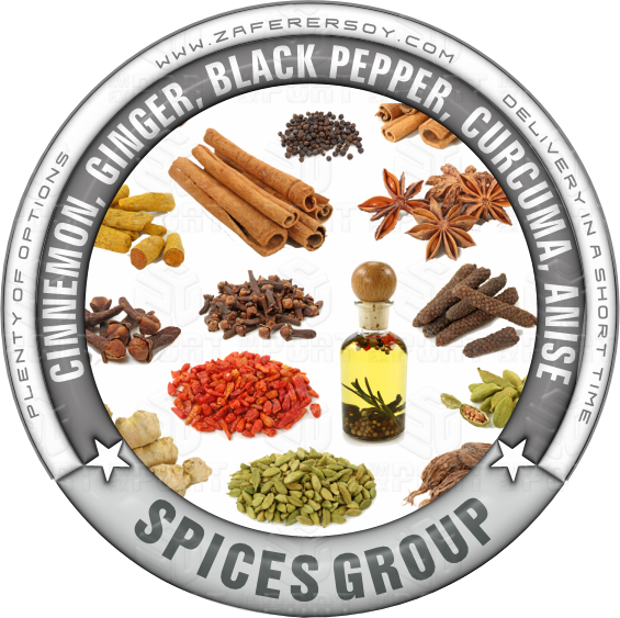 SPICES GROUP